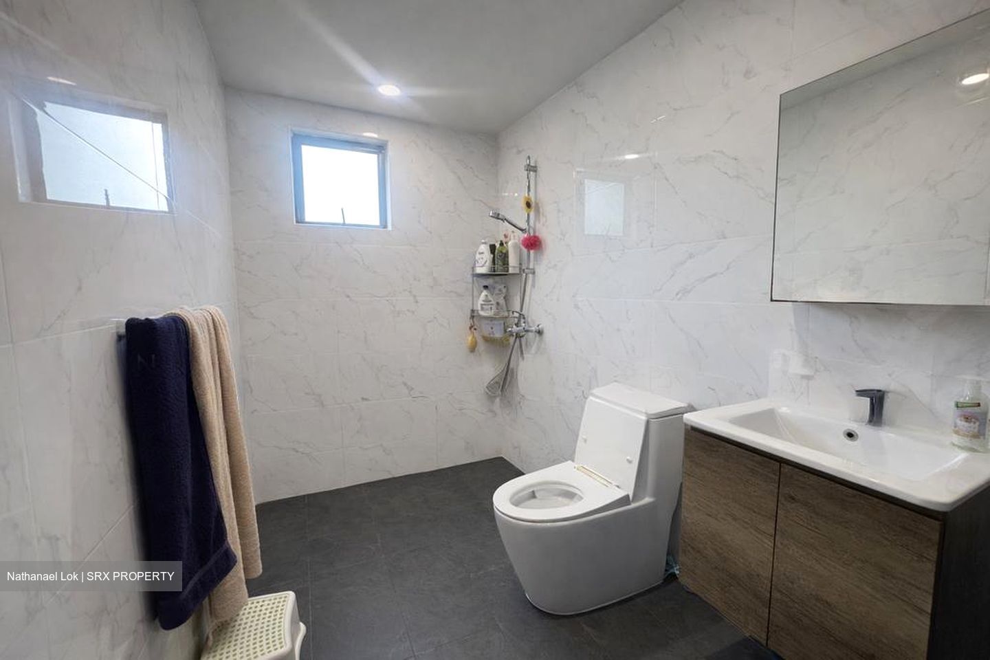 Windy Heights (D14), Condominium #530036851